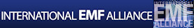 iemfa-banner