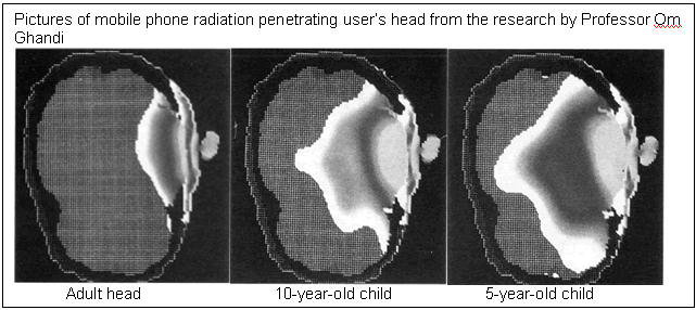 Absorption of phone radiation