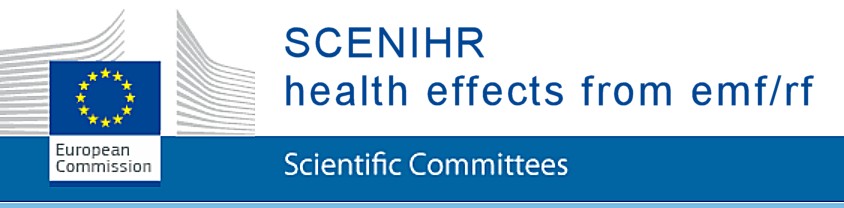 scenihr-banner